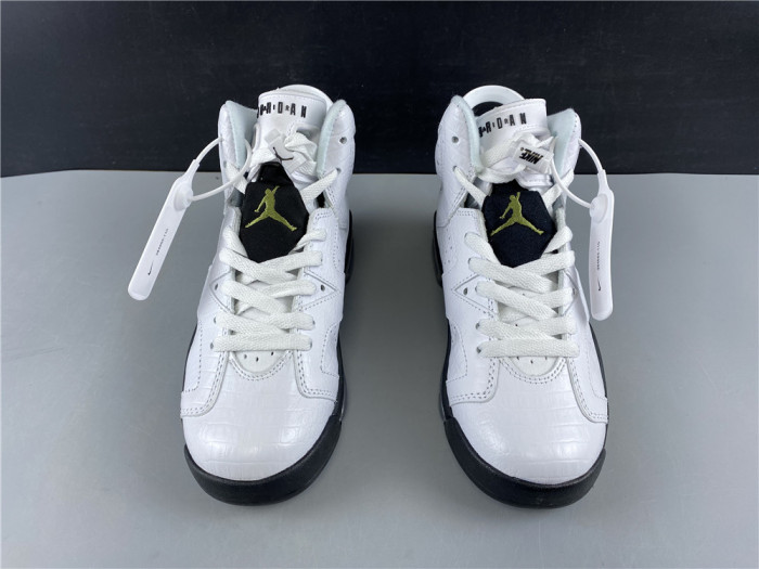 AIR JORDAN 6 GS ALLIGATOR 384665-110