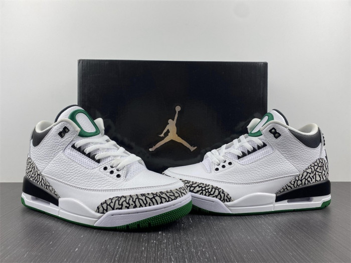 Air Jordan 3 retro oregon pitcrew