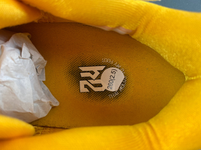 Nike Kobe 6 Protro Mambacita CW2190-501