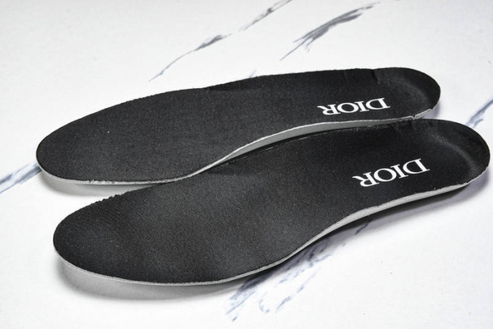 DIOR B30 SNEAKERS B30-000110