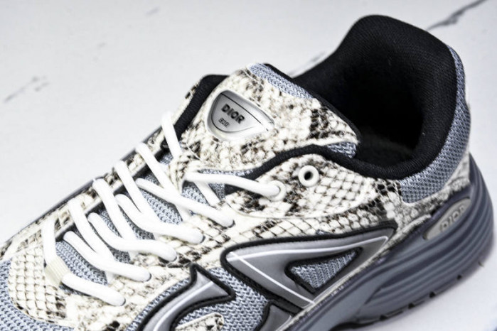 DIOR B30 SNEAKERS B30-000110