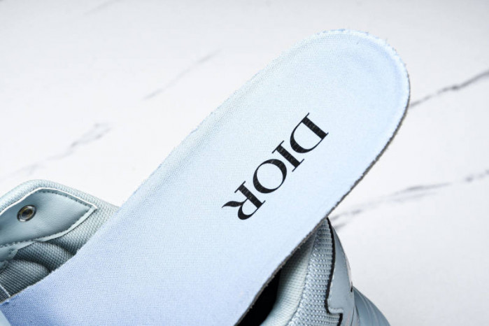 DIOR B30 SNEAKERS B30-000113