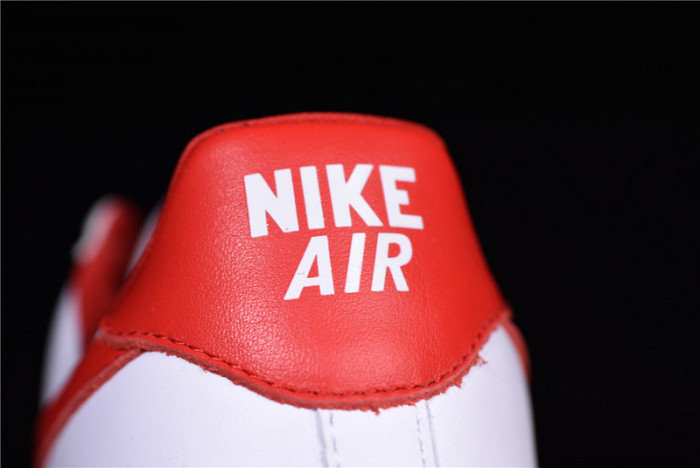 Nike Air Force 1 Low Fo Fi Fo AQ5107-100