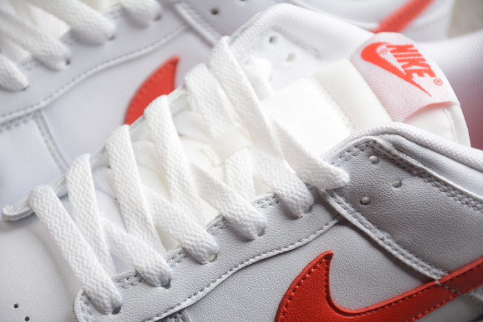 Nike Dunk Low DV0831-103