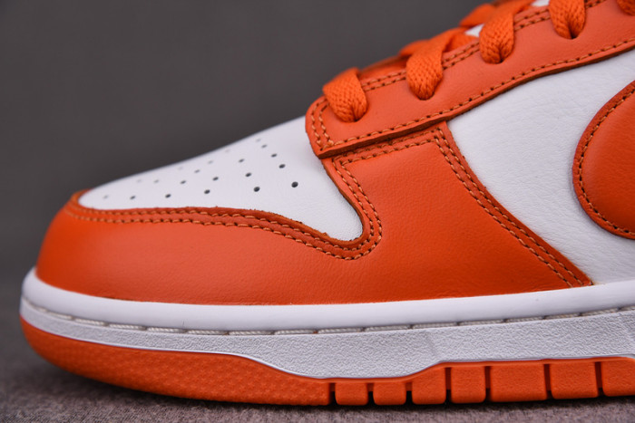 Nike dunk low sb syracuse CU1726-101
