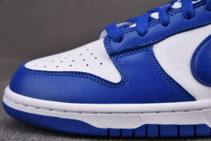 Nike dunk low sb kentucky CU1726-100