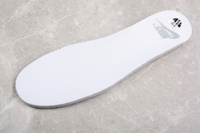 Nike Dunk Low DJ9955-100