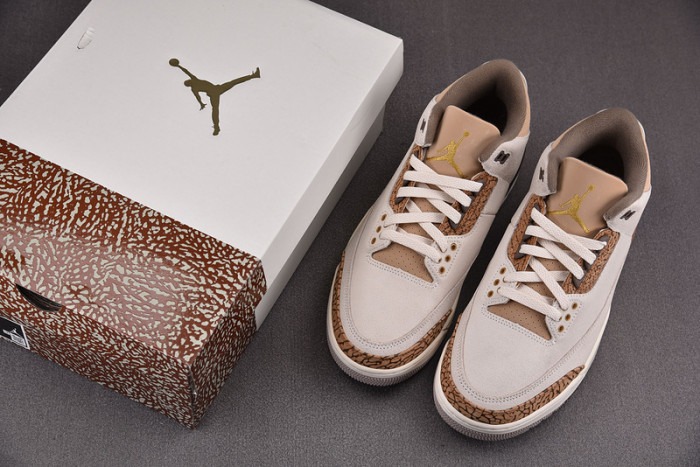 Air Jordan 3 "Palomino" CT8532-102