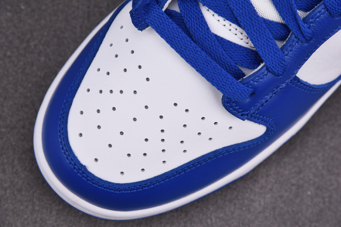 Nike dunk low sb kentucky CU1726-100