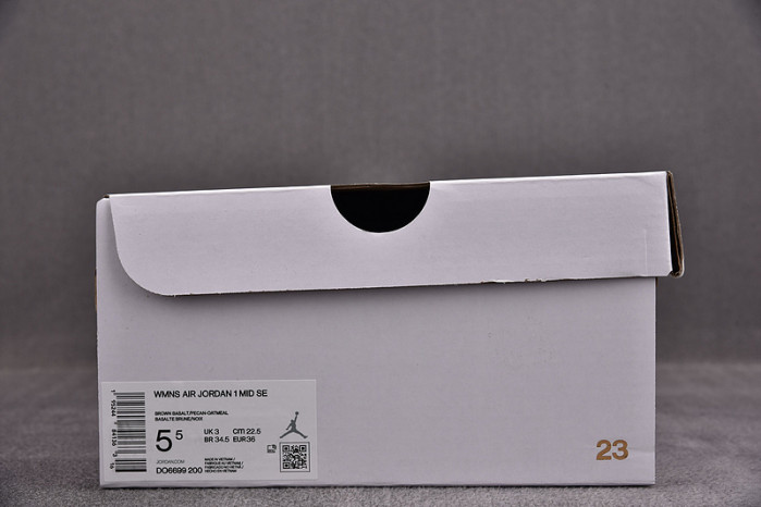 Air Jordan 1 Mid DO6699-200