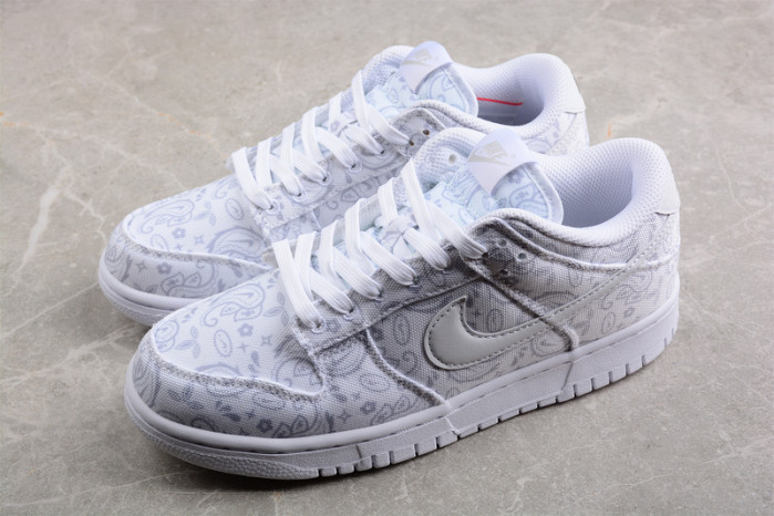 Nike Dunk Low DJ9955-100