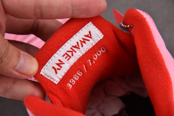 Awake NY x Air Jordan 5 Retro 